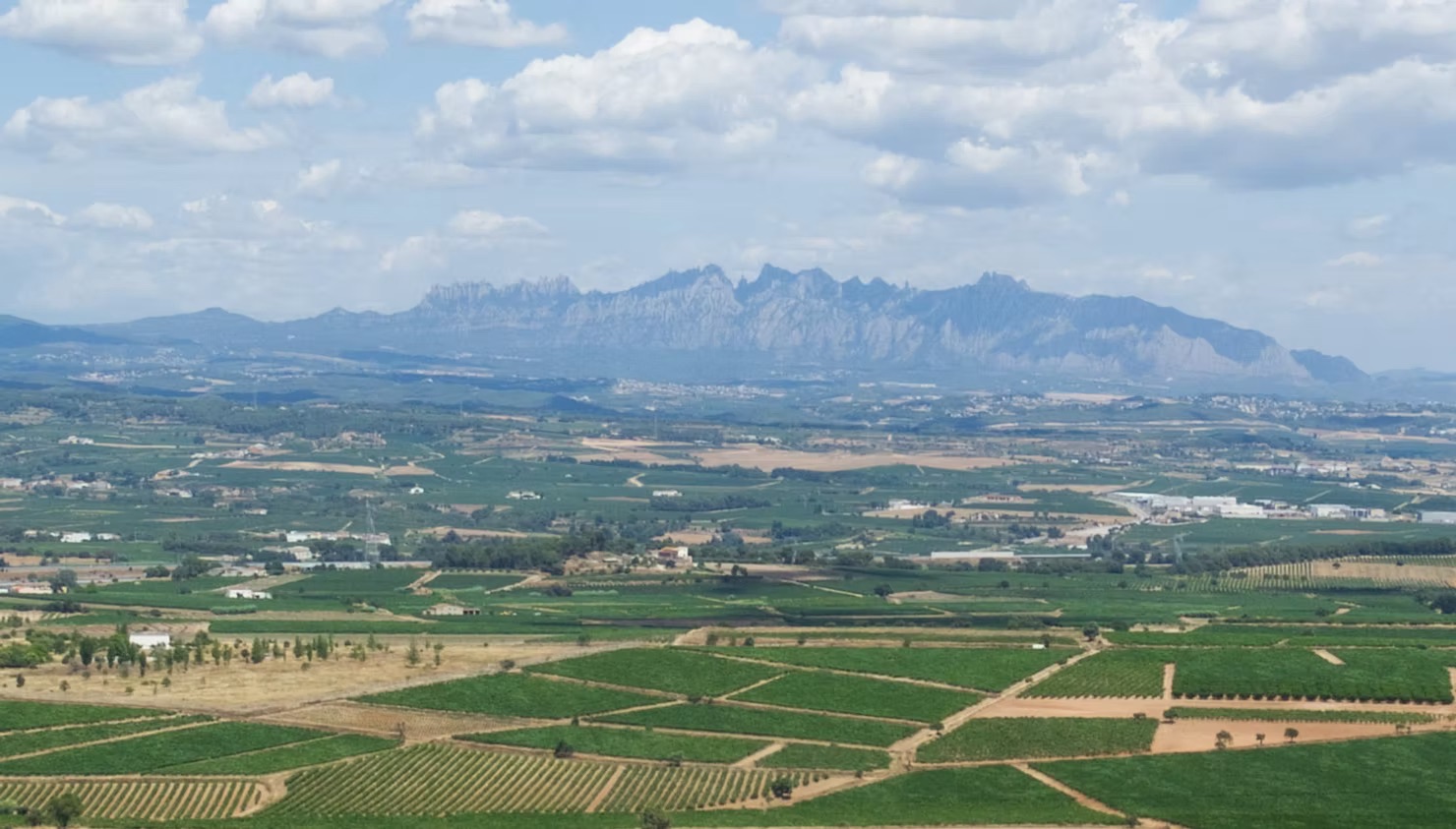 4816c4_9293d96cd10047fb9cbaef77d4080d5f~mv2