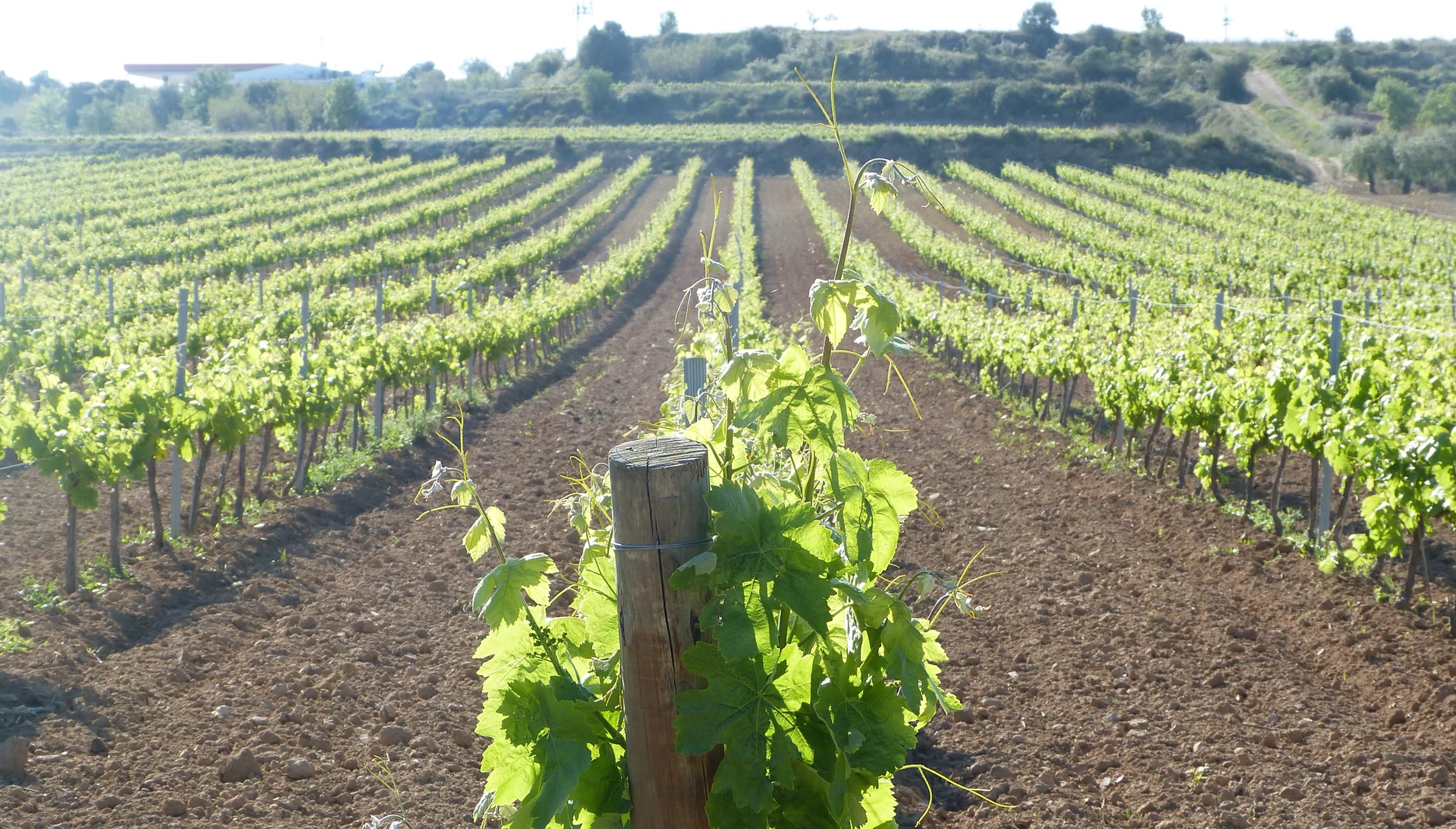 4816c4_9b416c7b627448389319ac22b89de6eb